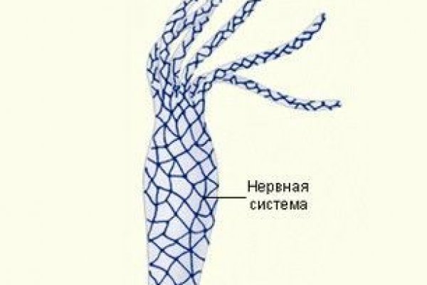 Kraken ссылка для тору