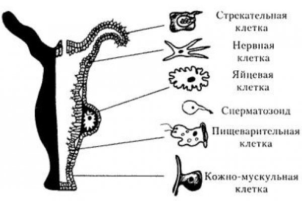 Ссылки для tor